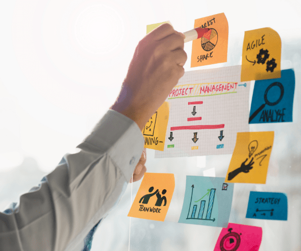 Public-Sector Project Management